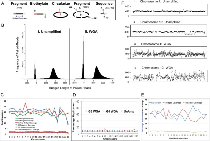 Figure 2.