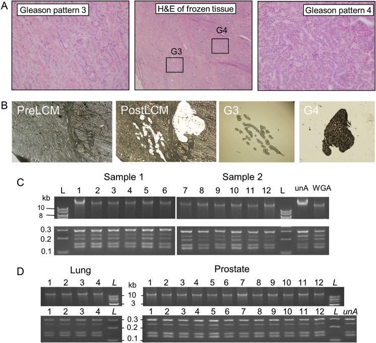 Figure 1.