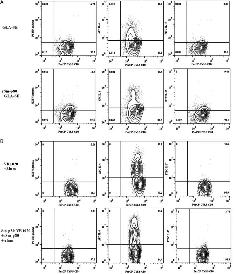 Figure 5.