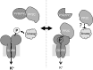 FIGURE 9.