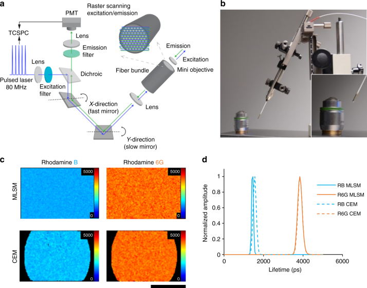 Fig. 1