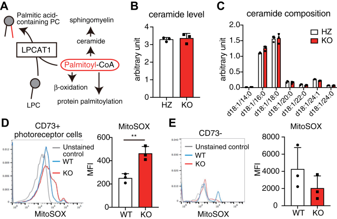 Figure 6