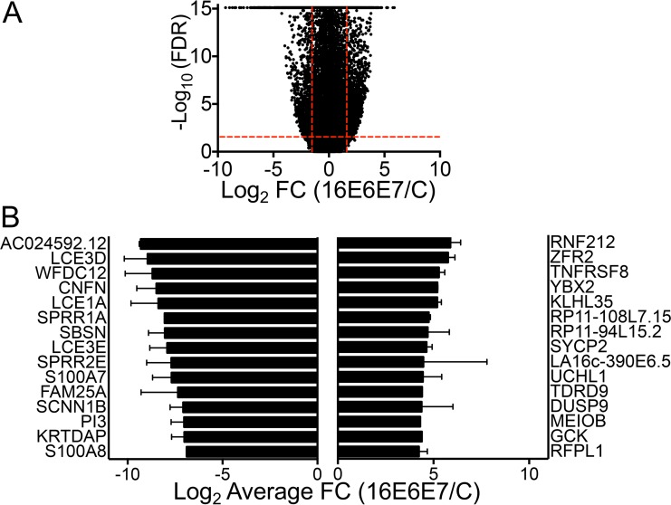 FIG 3 