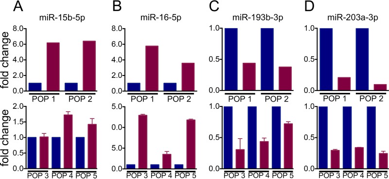 FIG 2 