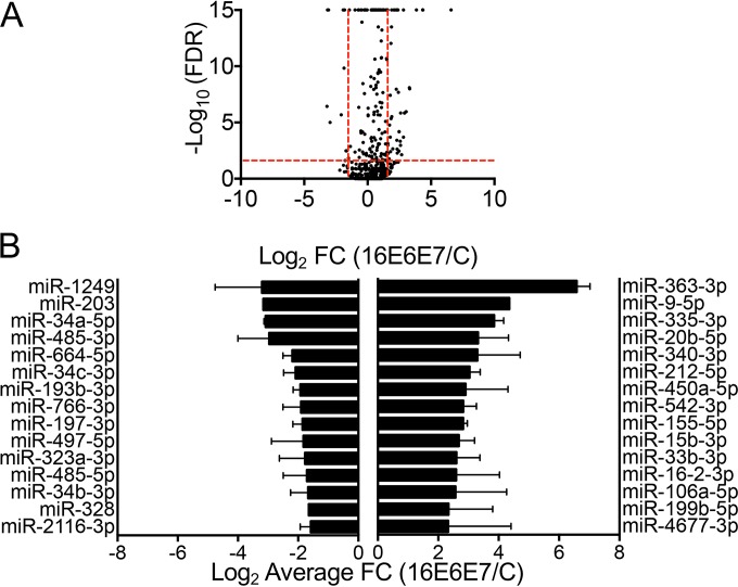 FIG 1 