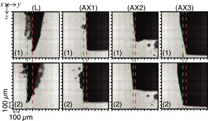 Figure 13