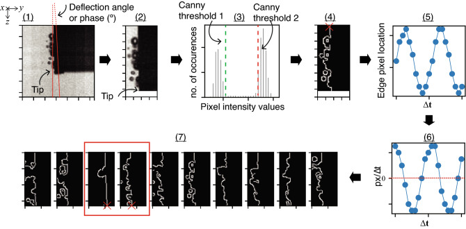 Figure 6