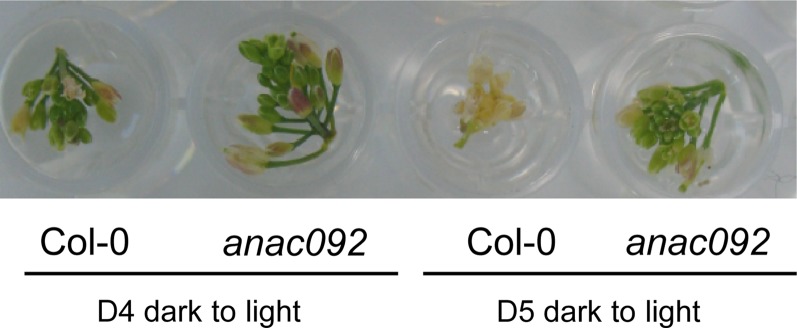 Figure 10.