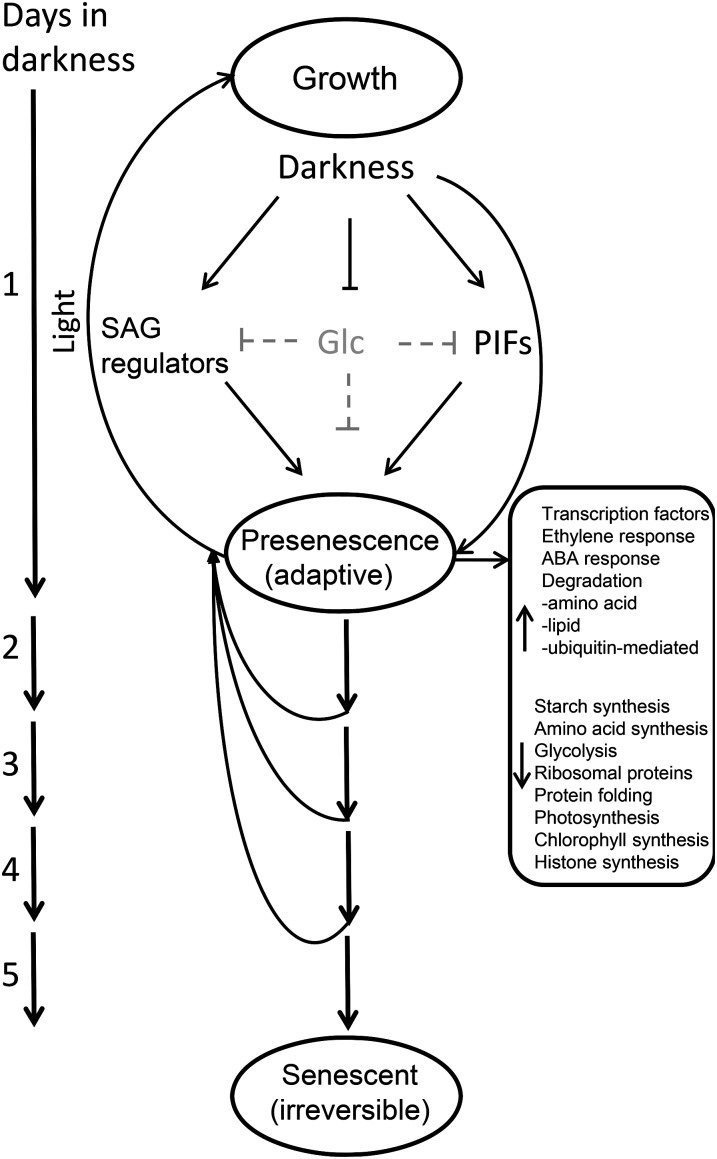 Figure 12.