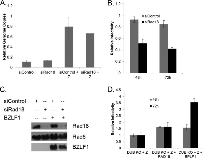 FIG 7