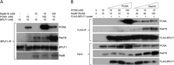 FIG 2