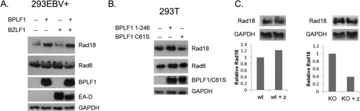 FIG 6