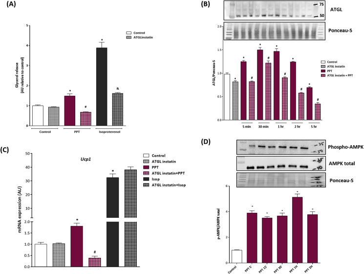 Figure 3