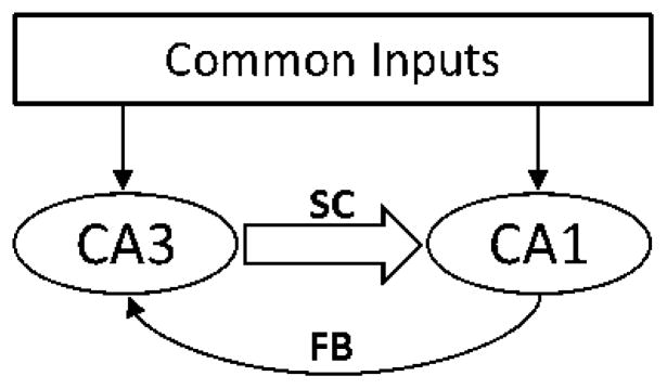 Fig. 12