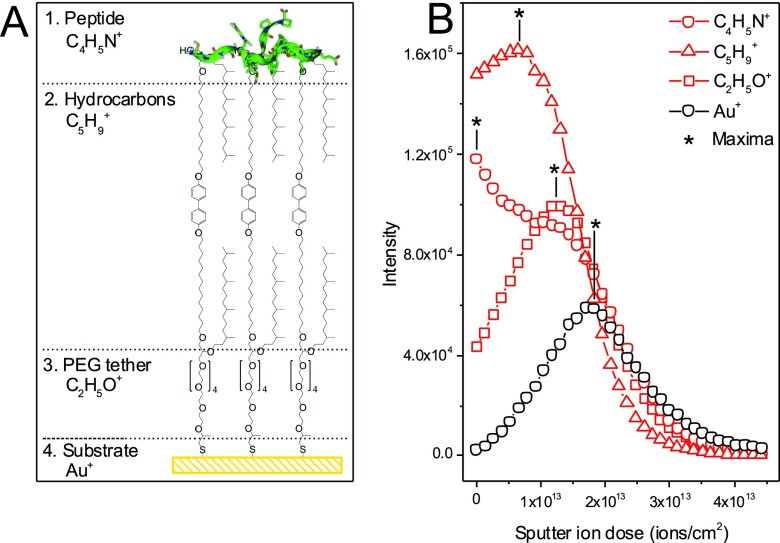 Fig. 3.