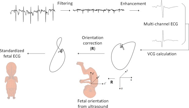 Fig 2