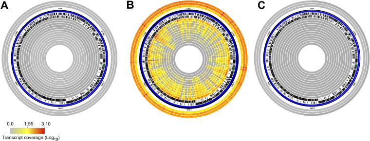 FIG 5 