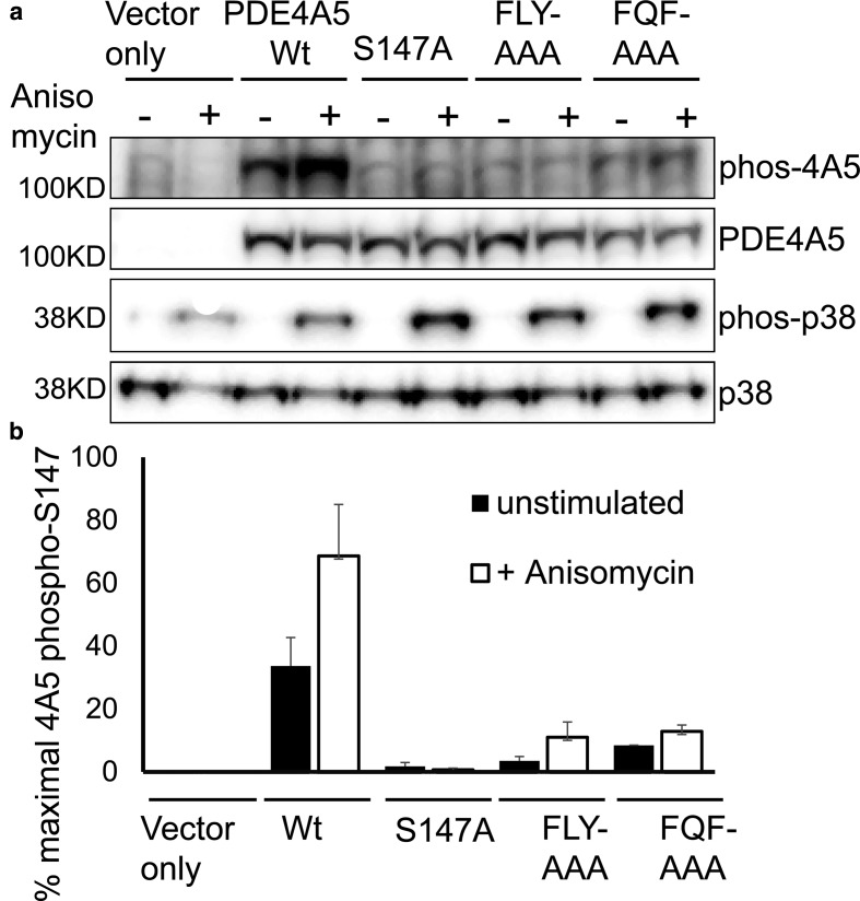 Figure 5.