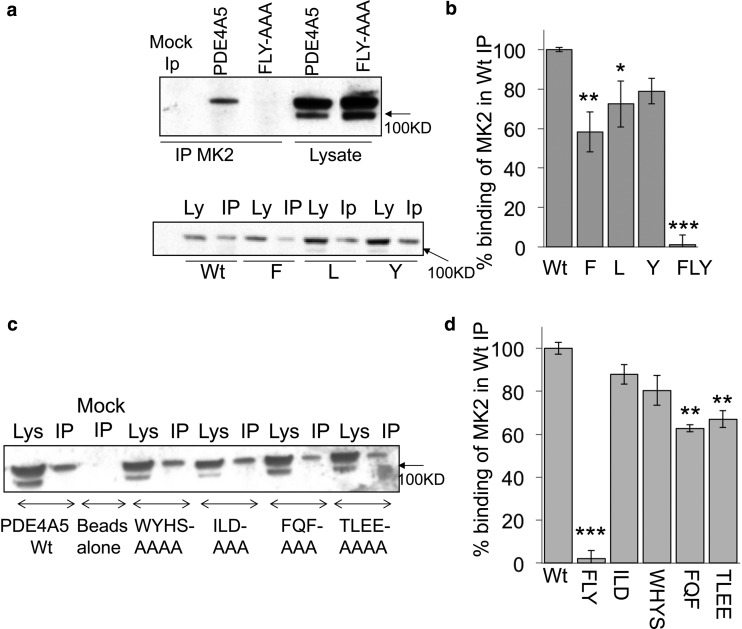 Figure 4.