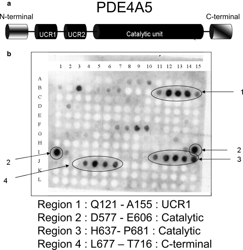 Figure 2.