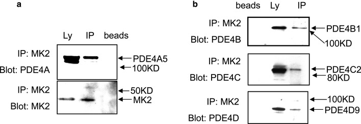 Figure 1.