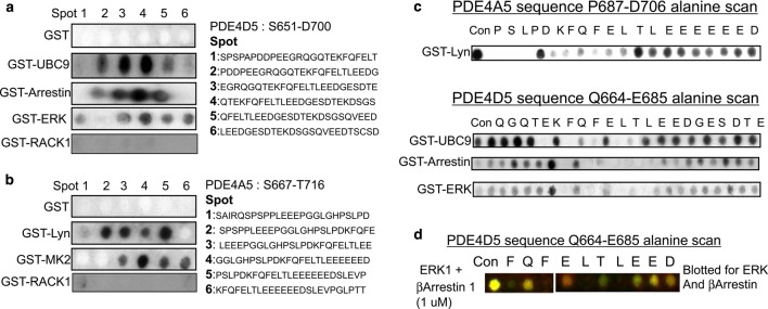 Figure 6.