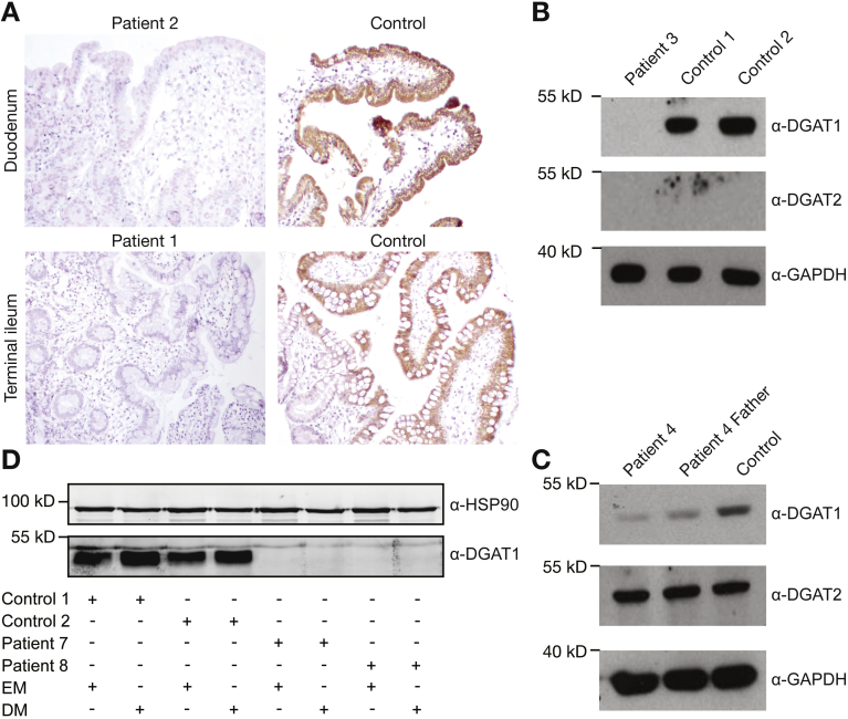 Figure 2