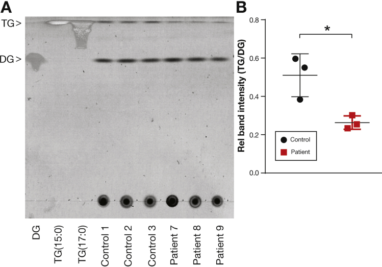 Figure 5