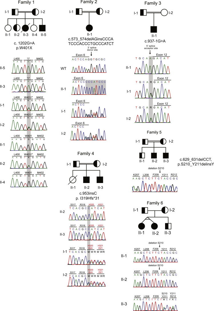 Supplementary Figure 3