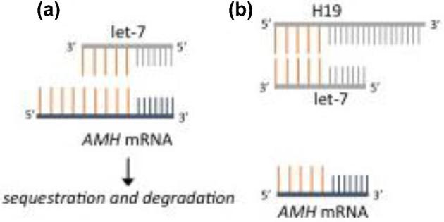 Figure 9.