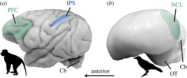 Figure 2.