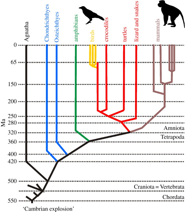 Figure 1.