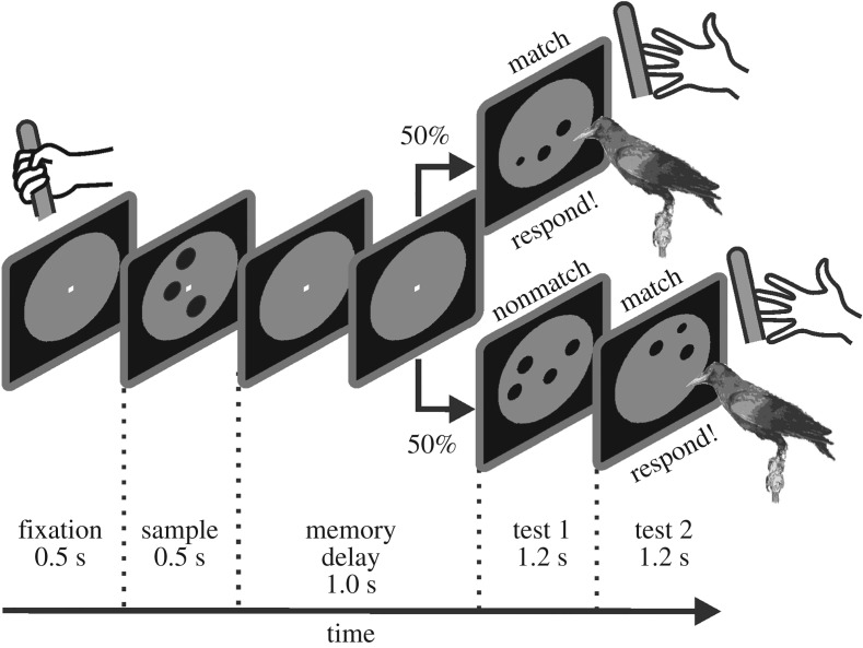 Figure 3.