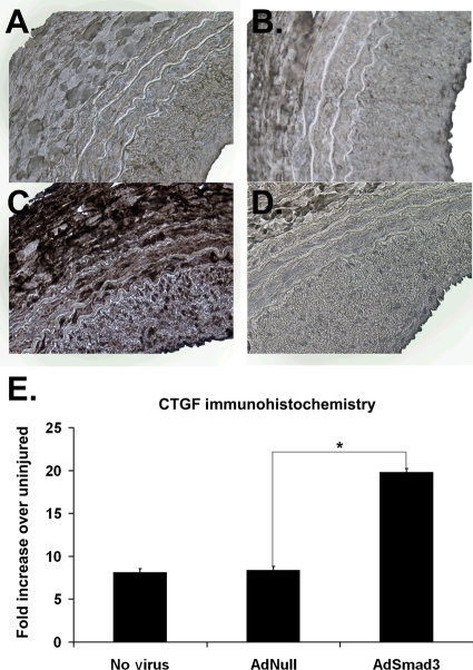 Figure 5