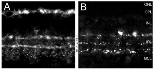 Fig. 10