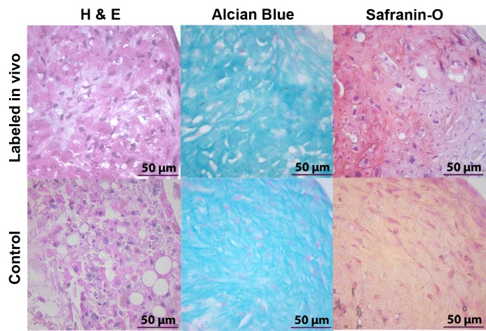 Figure 5: