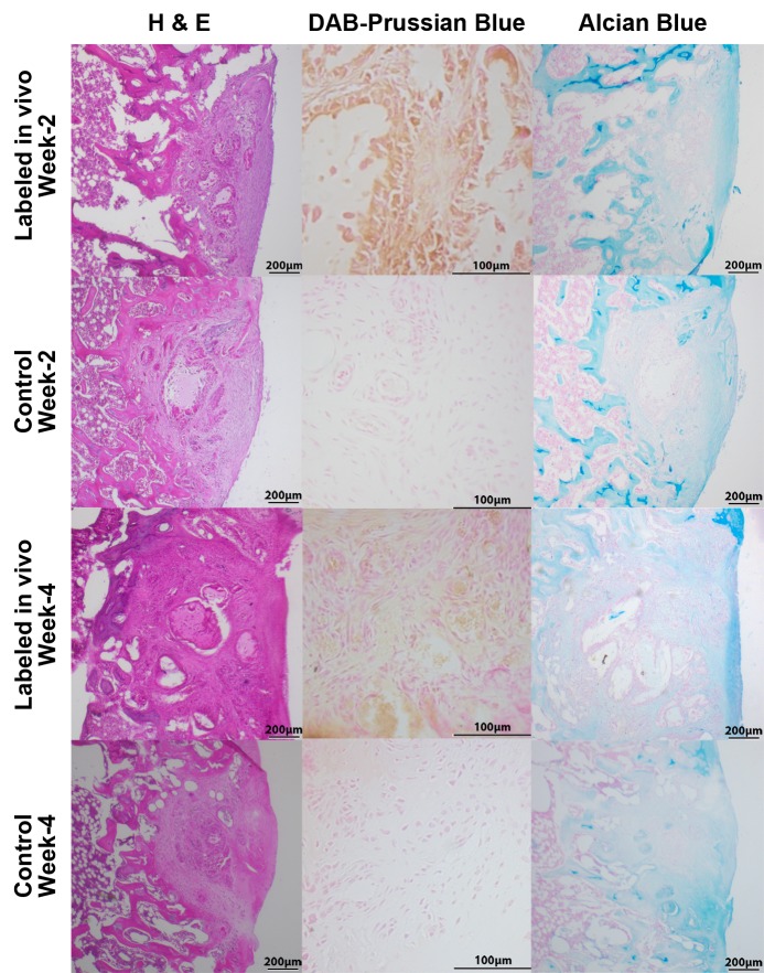 Figure 7: