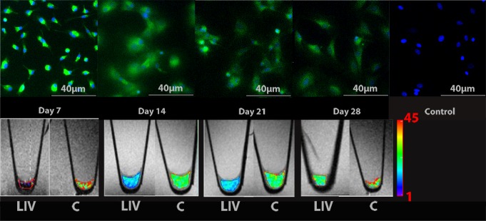 Figure 4a: