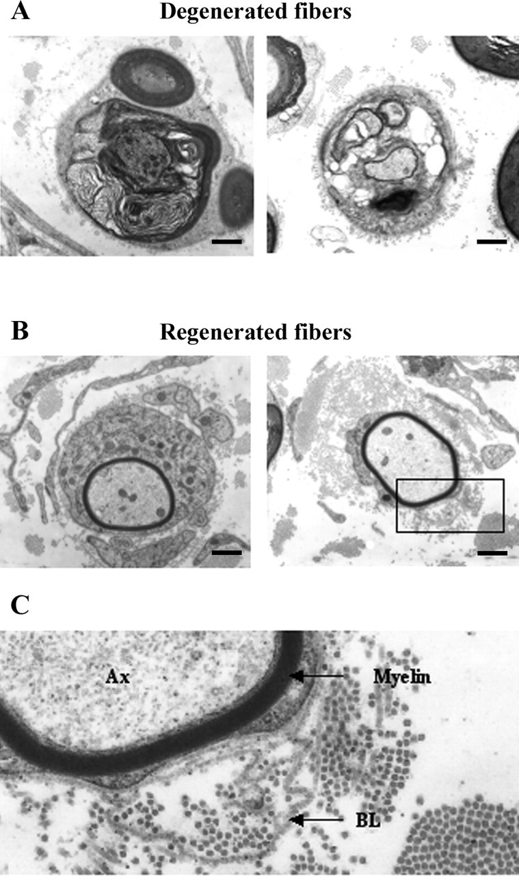 Figure 9.