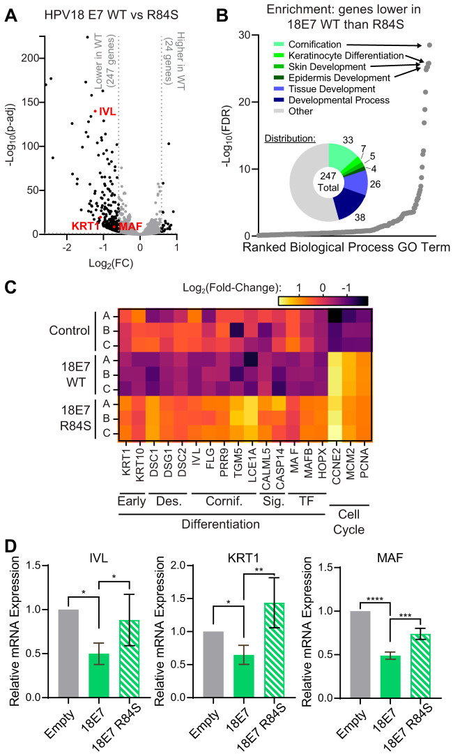 FIG 6