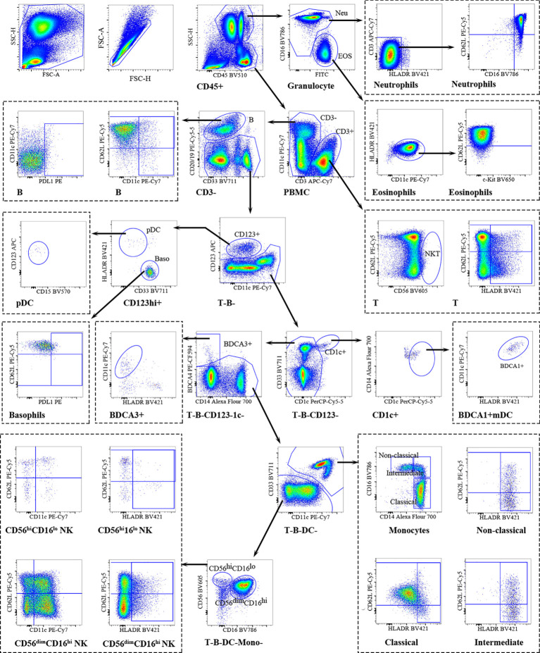 Figure 1