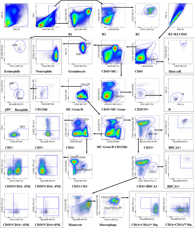 Figure 3