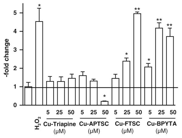 Fig. 5