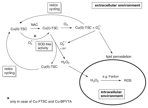 Fig. 12