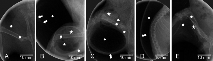 Figure 3