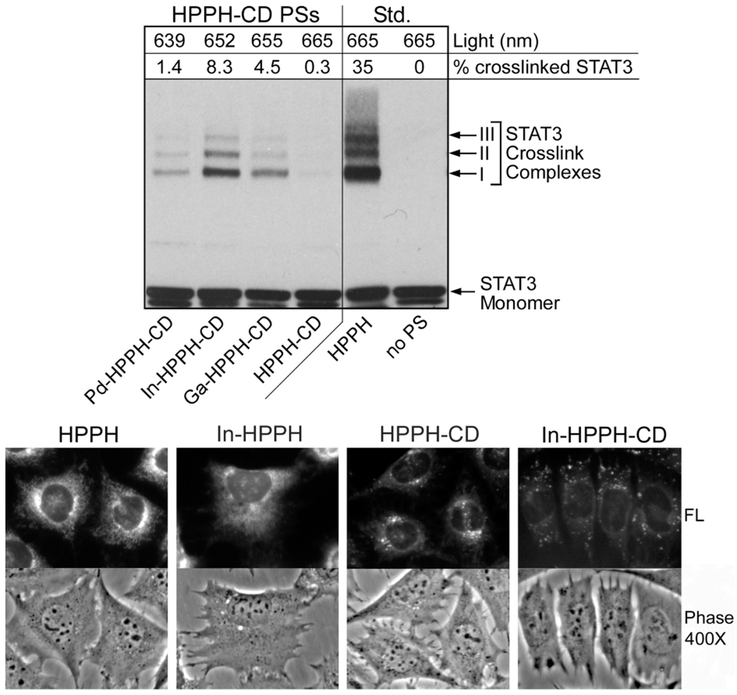 Figure 10.