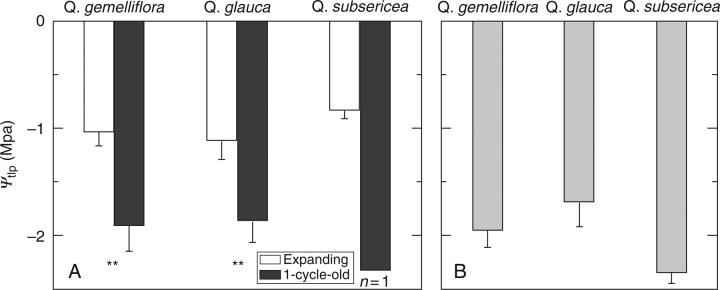 Fig. 5.