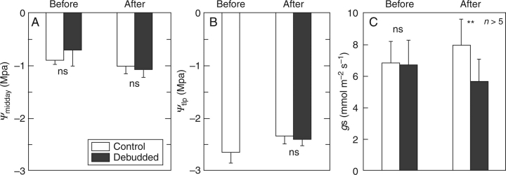 Fig. 6.