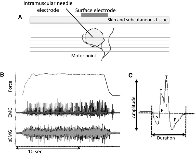 Fig. 1