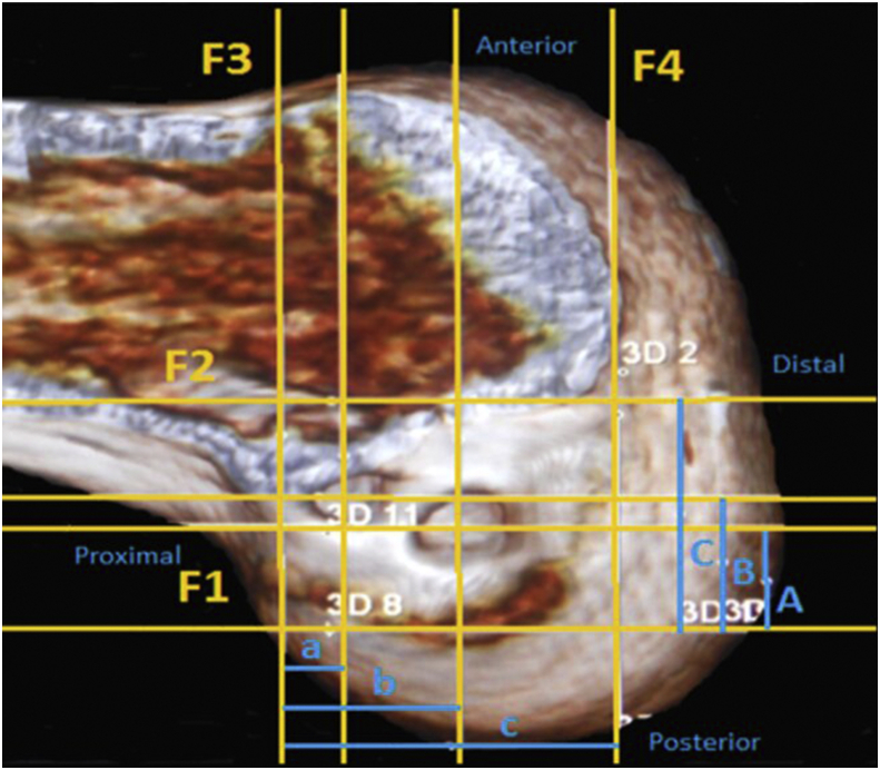 Fig. 1